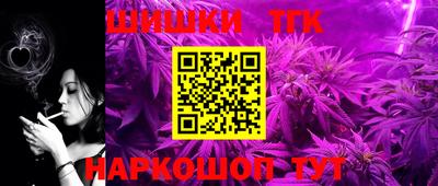 тгк Славгород