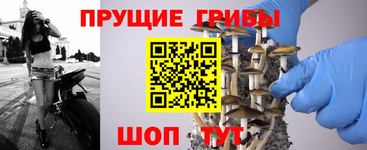 Нягань  где продают   Вход с VPN  Галлюциногенные грибы Magic Shrooms 